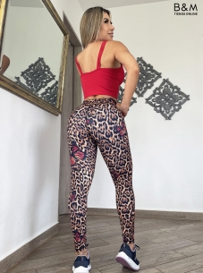 Conjunto Radiante 964 2